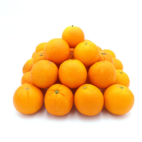 KI generiert: Ein Stapel leuchtend orangefarbener Orangen auf weißem Hintergrund.