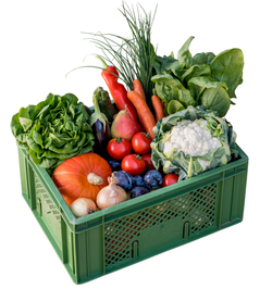 Produktfoto zu Regionalkiste