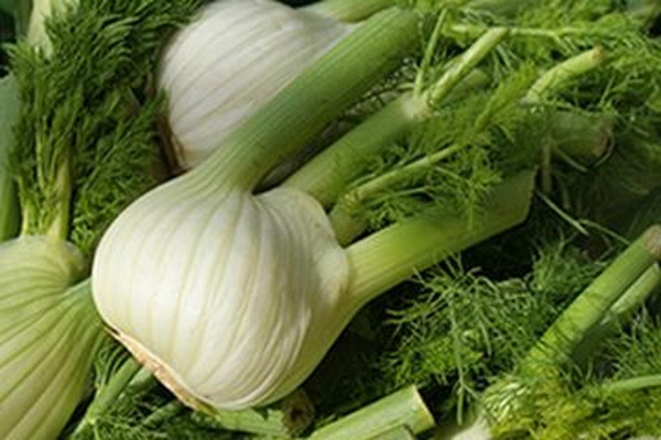 Produktfoto zu Fenchel HBH
