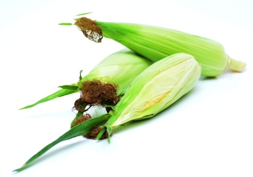 KI generiert: Drei frische Maiskolben in grünen Hüllen auf weißem Hintergrund.