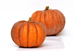 KI generiert: Zwei orangefarbene Kürbisse auf weißem Hintergrund.