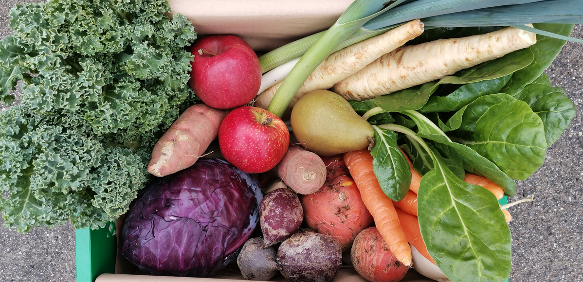 KI generiert: Das Bild zeigt eine Kiste voller frischem Obst und Gemüse, darunter Grünkohl, Äpfel, Birnen, Rote Bete, Karotten und Lauch. Der Hauptinhalt ist eine vielfältige Auswahl an frischen, gesunden Lebensmitteln.