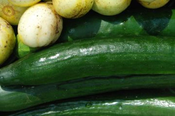 Produktfoto zu Gurken HBH