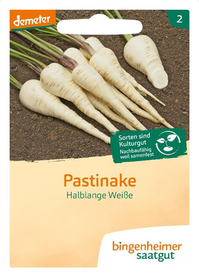 Produktfoto zu Saatgut Pastinaken Halblange Weiße
