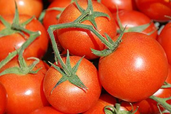Produktfoto zu Tomaten
