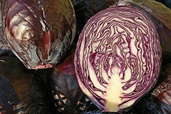 Produktfoto zu Rotkohl HBH