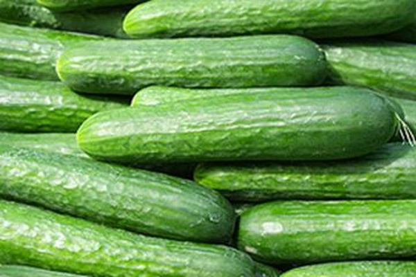 Produktfoto zu Minigurken