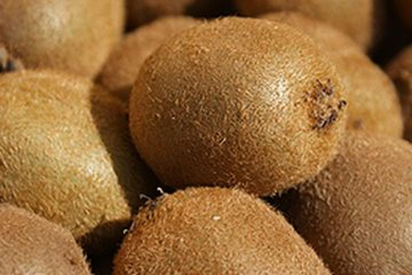 Produktfoto zu Kiwi, Stück