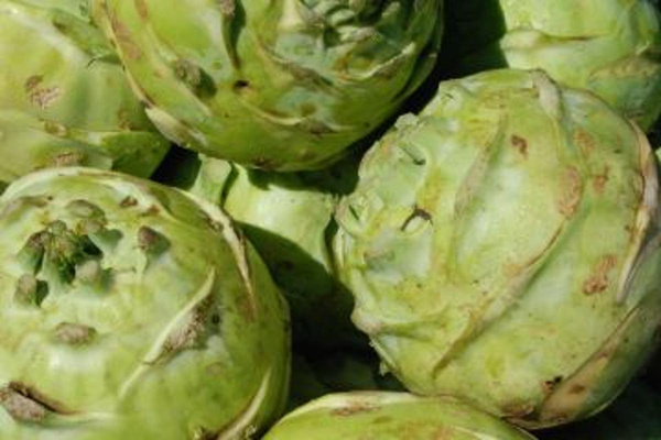 Produktfoto zu Kohlrabi Superschmelz HBH