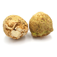 KI generiert: Zwei Knollen Sellerie auf weißem Hintergrund.