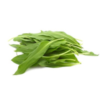 KI generiert: Ein Haufen frischer, grüner Bärlauchblätter vor weißem Hintergrund.