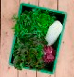 Produktfoto zu Salatkarussell