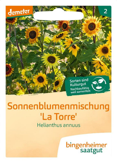 Produktfoto zu Saatgut Sonnenblume mehrblütig