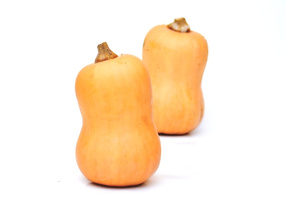 KI generiert: Zwei Butternut-Kürbisse vor weißem Hintergrund.