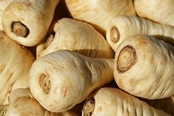 Produktfoto zu Pastinaken