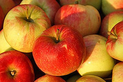 Produktfoto zu Apfel Elstar