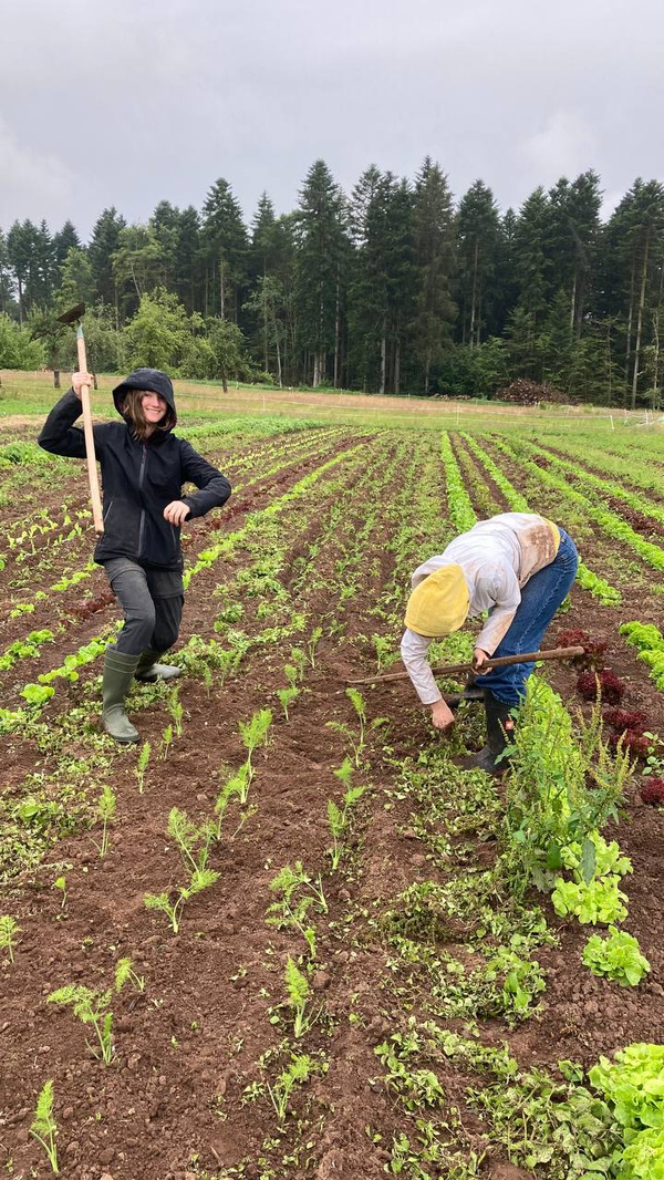 KI generiert: Das Bild zeigt zwei Personen, die auf einem Feld arbeiten. Sie sind dabei, Pflanzen zu pflegen oder zu pflanzen, während sie wetterfeste Kleidung tragen.