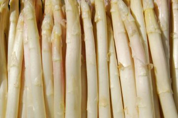 Produktfoto zu Spargel, weiß