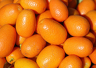 Produktfoto zu Kumquat