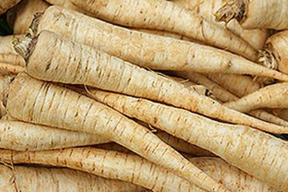 Wurzelpetersilie HBH