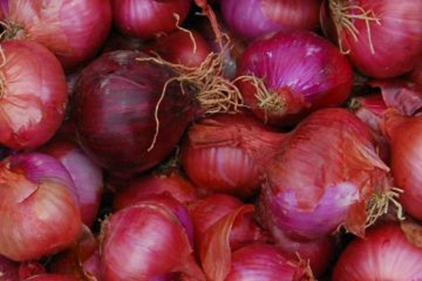 Produktfoto zu Zwiebeln, rot HBH